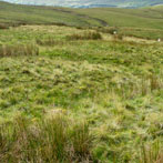 Yorkshire Dales